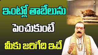 తాబేలు ఇంట్లో పెంచుకోవచ్చా ? | Should You Get A Pet Turtle? | Dr Machiraju Venugopal