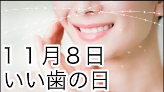 【１１月８日】今日は何の日？「いい歯の日」なぜ粉ではないのに歯磨き粉というんだ〜？！♪/ 雑学