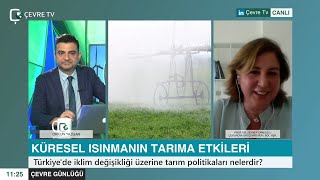 🌾 Küresel ısınmanın tarım sektörü üzerine etkileri nelerdir?