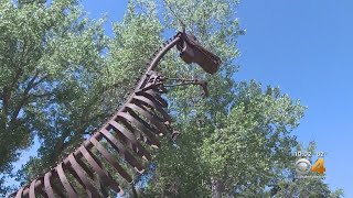 Beloved Fort Collins Attraction Closing After 34 Years