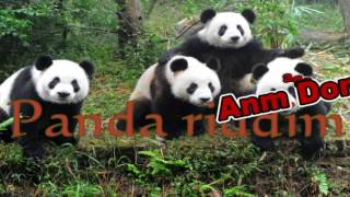 PANDA DJ MIX - Psycho vs little loba vs lil psy vs draga, Raisel, Atje man, Abalaity, Patato, Bordo