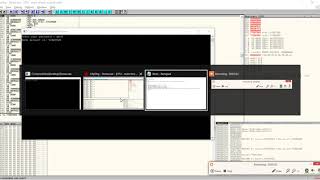 Binary Patching Demo