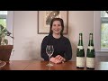 Compare French Rieslings: Quick Tips