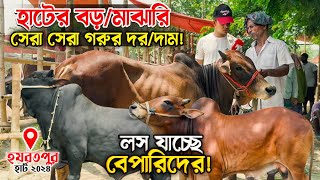 হাটের সেরা সেরা গরুর দর/দাম! ক্রেতা শূন্য হাট! হযরতপুর হাট ২০২৪! রাখালের কথা