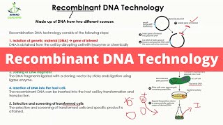 Recombinant DNA Technology | Steps invloved | Genetic Engineering | Biotechnology