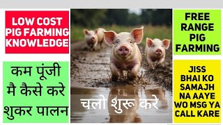 How to start low cost pig farming | कम से कम लागत मैं सुअर फार्म कैसे खोले#isro