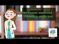 Marihuana medicinal - Cannabis medicinal.