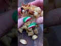 what’s your favorite thing to make with roasted garlic roastedgarlic garlic asmr