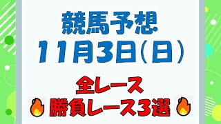 【競馬予想】１１月３日（日）全レース予想／厳選３レース(平場予想・重賞予想)