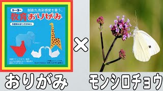 【折り紙】簡単なモンシロチョウの作り方　春の折り紙　3月・4月の折り紙　子供でも作れる難しくない折り方【おりがみ】