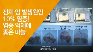 전체 암 발생원인 10% 염증! 염증 억제에 좋은 마늘 - (2010.2.18_322회 방송)_2010, 新항암식품사전 - 1편 현미와 콩