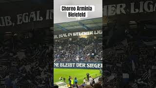 Schöne Choreo der Bielefeld-Fans vor dem Spiel gegen Saarbrücken #choreo #arminiabielefeld #ultras