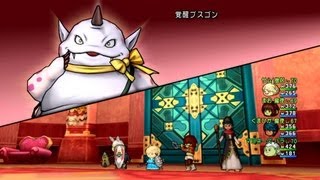 【DQX】覚醒プスゴン　ソロプレイ(ver1.4) 【mayo】