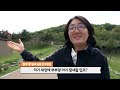 아파트 옥상에서 사랑을 외치다 천연기념물 황새 부부의 아찔한 옥상살이┃natural monument stork couple s dangerous rooftop life