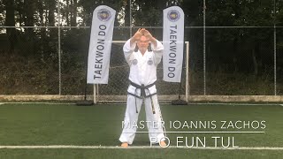 PO EUN tul demonstrated by Master Ioannis Zachos