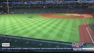 Safety netting coming to a ball park near you?