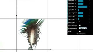 Texture Distortion - Interactive 3D Graphics