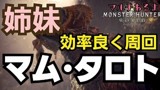 【MHW】姉妹でマムタロト 効率良く狩りたい！概要欄参照してみて下さい(LIVE配信)【女性実況】