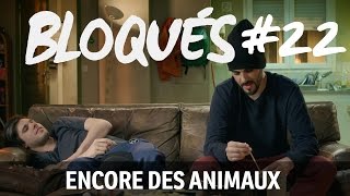 Bloqués #22 - Encore des animaux