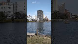 糸島市前原西　丸田池公園 #shorts