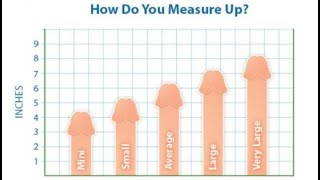 ஆணுறுப்பு பெறியதாகதான் இருக்கவேண்டுமா? Penis size matters?