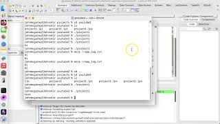 Quick Guide Writing to a File in Lazarus with Free Pascal