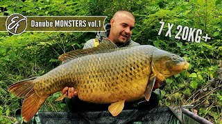 Monštrá z rieky Dunaj 7 x 20kg+ - Danube Monsters 2020 vol.1