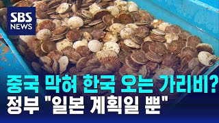 중국 수출길 막히자 한국으로?…정부 \