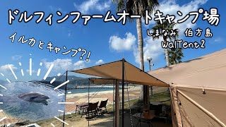 【レアなキャンプ場】キャンプ場でイルカに会える⁈ドルフィンファームキャンプ場で癒されキャンプ。