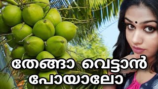 ഇതൊക്കെയാണ് ഞങ്ങളുടെ കുഞ്ഞു കുഞ്ഞു സന്തോഷങ്ങൾ🥰#familyvlog