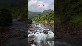 कोकण सह्याद्री..❤️#sahyadri#shivrayancha_maharashtra