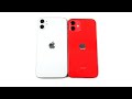 Should You Buy iPhone 11 or 12?