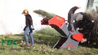 Chipper FBC model: BIO 10 PF shredding Different Tree Prunings