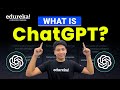 What is Chat GPT ? | Chat GPT Explained | Will ChatGPT replace Google? | Edureka