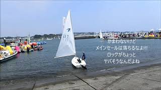 ２０１９．０８．１８　江の島ヨットハーバーの稼働状況