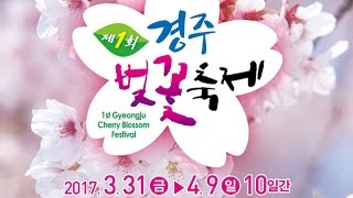 제1회 경주벚꽃축제 개막식