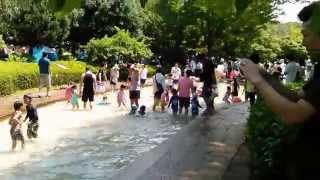 船橋アンデルセン公園　虹の池　水遊び　夏休み