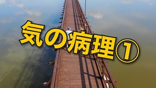 ゆるっと学ぶ東洋医学概論　第31回　気の病理①