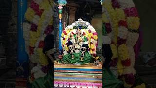 #tiruvannamalai | 8ஆம் நாள் குதிரை வாகனம் | #2023 | தீபத் திருவிழா