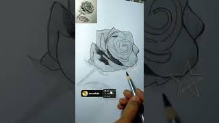 how to draw a rose #freehandsketch #pencilsketch #drawing #shading #art #shorts