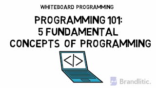 5 Fundamental Concepts of Programming Languages | Basic Concepts of Programming for Beginners