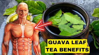 Drink This and Watch What Happens: The Unexpected Benefits of Guava Leaf Tea