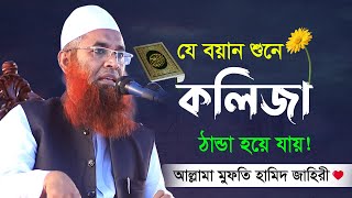 লক্ষ কথার মাঝে গুরুত্বপূর্ণ কিছু কথা  | Mufti Hamid Zahiri | New waz 2021