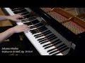 J. Brahms - Waltzer in d-Moll - Op. 39 / Nr. 9 - Piano (Steinway - HD)