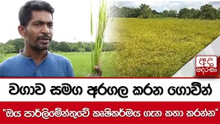 වගාව සමග අරගල කරන ගොවීන් - ''ඔය පාර්ලිමේන්තුවේ කෘෂිකර්මය ගැන කතා කරන්න''