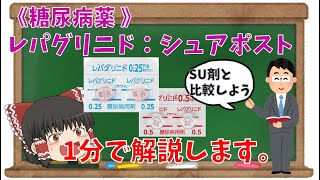 【1分薬学解説】糖尿病薬：レパグリニド（シュアポスト）