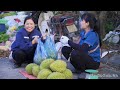 how to harvest durian goes to the market sell harvesting and cooking tieu vy daily life