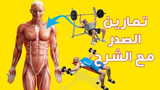 تمارين الصدر في الجيم | تمارين كمال الاجسام | قناة جيم كايرو