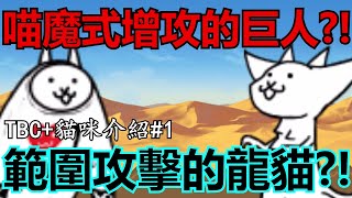 《貓咪大戰爭+》沒有加值の基本貓！卻完成了大部分人的夢想？！| TBC+貓咪介紹#1