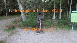 Pfälzer Wald - Der Bärensteig